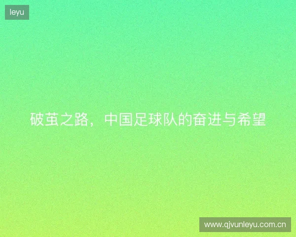 破茧之路，中国足球队的奋进与希望