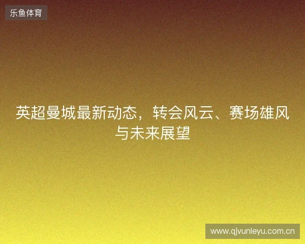 英超曼城最新动态，转会风云、赛场雄风与未来展望